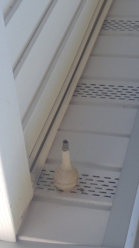 nest_zpsz06dhxib.jpg
